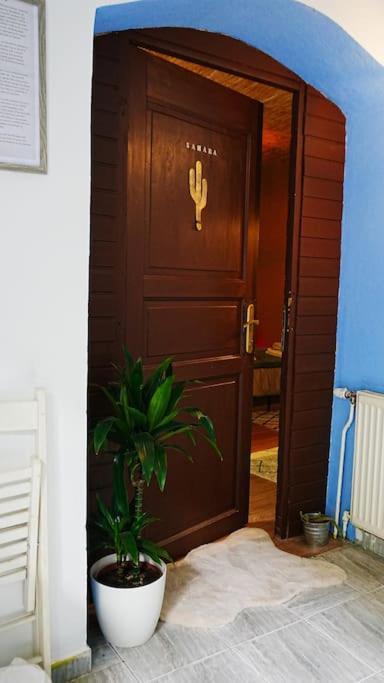 Sahara Studio With Shared Bathroom In City Centre บราติสลาวา ภายนอก รูปภาพ